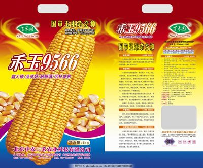 現代玉米種子包裝 技術驅動的農業糧食安全基石